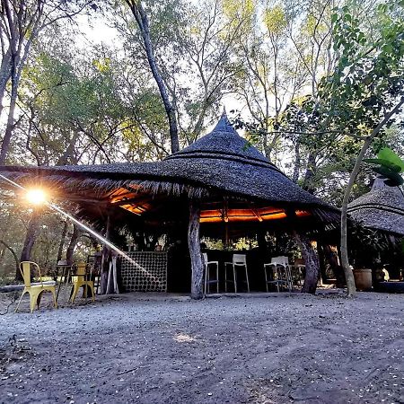 The Tshilli Farm & Lodge Maun Extérieur photo