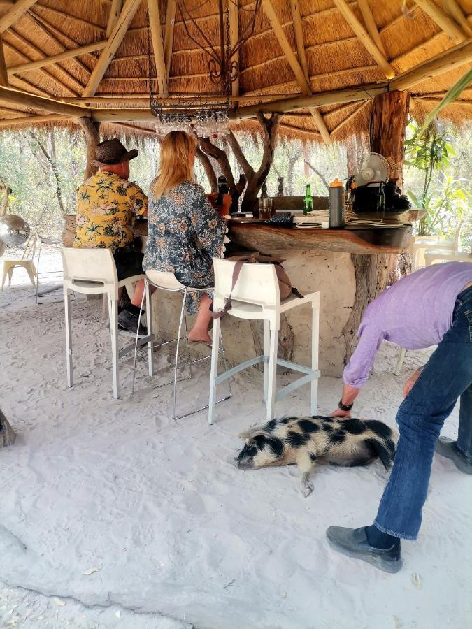 The Tshilli Farm & Lodge Maun Extérieur photo