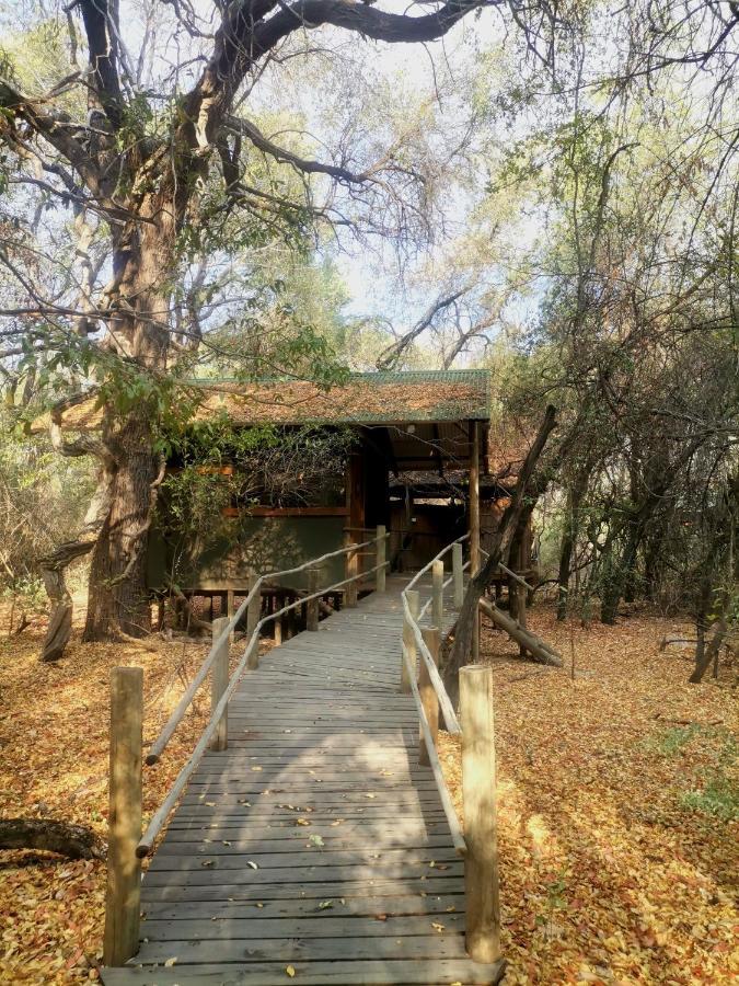 The Tshilli Farm & Lodge Maun Extérieur photo